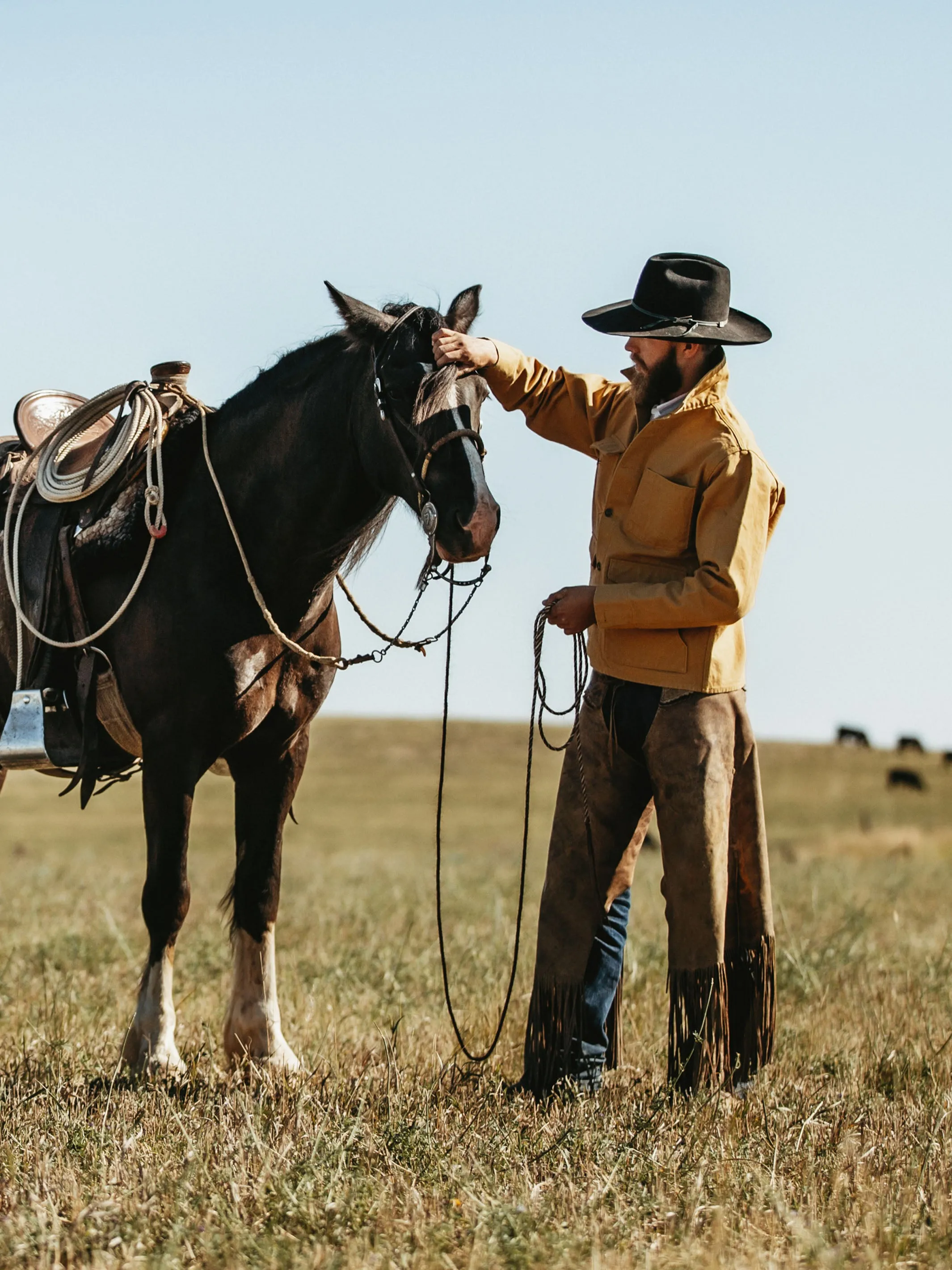 Brushcloth Brush Jacket